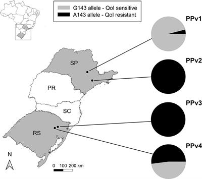 The Climate-Driven Genetic Diversity Has a Higher Impact on the Population Structure of Plasmopara viticola Than the Production System or QoI Fungicide Sensitivity in Subtropical Brazil